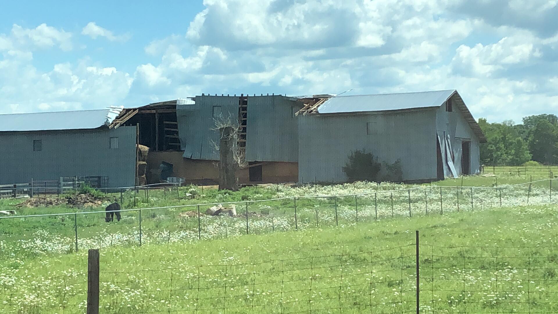 Storm damages area barn, uproots trees - My Prescott Now